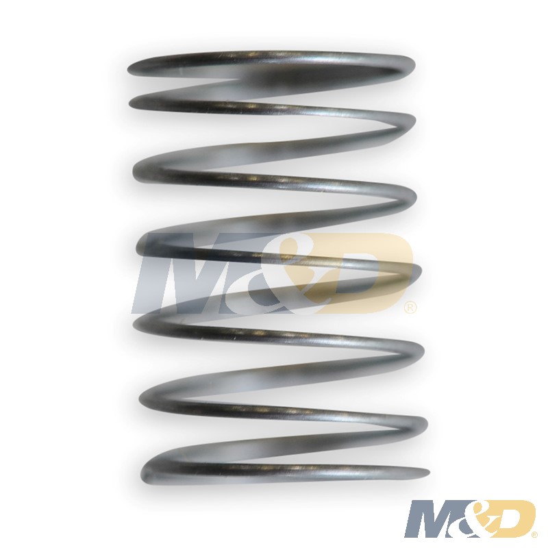 SPRING SUPPLY PUMP CHECK VALVE