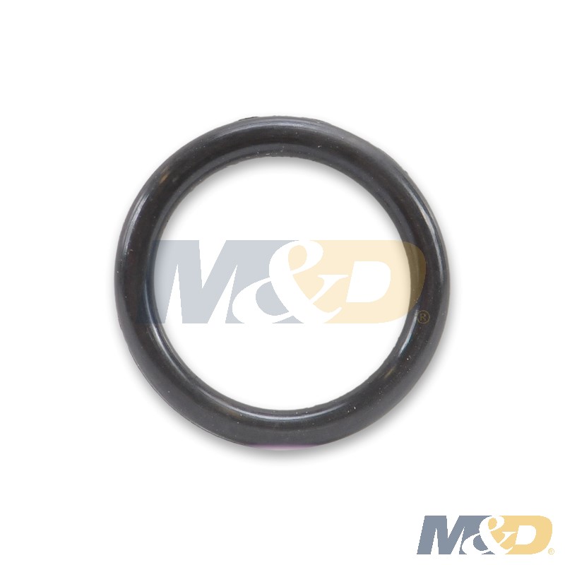 2000 - 2002 5.9L Dodge Fuel Connector O-Ring