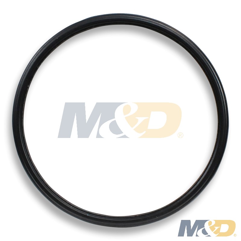 SEAL THERMOSTAT 3.9L 5.9L 6.7L B SERIES CUMMINS ISB