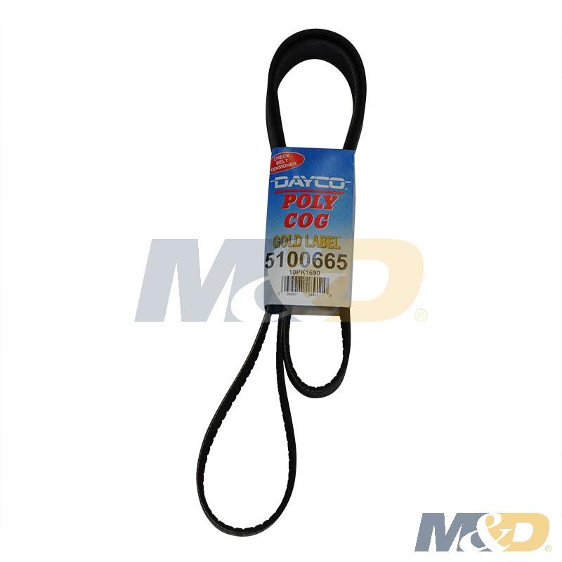 Product: POLY RIB GOLD LABEL BELT